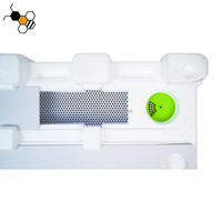 Queen Bee Styrofoam Nuc Boxes Mini Beehive pour Queen Bee Breeding Condition Nouveau