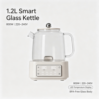 Bouilloire Électrique en Verre OEM d'Usine 1,2 L avec Fonction Maintien au Chaud, Protection Anti-Ébullition à Sec, Base Sans Fil, pour Usage Domestique