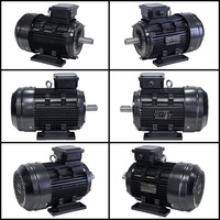 Moteur électrique asynchrone à induction triphasé GEXIN YE3-80M1-2 IE3 380V 50Hz 3000 tr/min 0,75 kW 1 ch, boîtier en fonte, 100%
