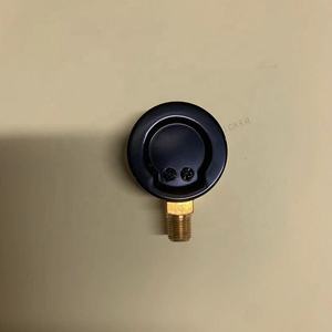 250 kpa छोटे वायु दबाव गेज निर्माता - Product Image 4