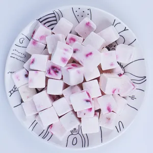 Nuevo arándano fresa arándano Multi sabores FD Cubo de yogur liofilizado piezas de fruta aperitivos - Product Image 4