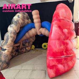 Pulmón inflable de gran oferta, modelo de pulmón inflable, pulmones insalubres inflables para exhibición - Product Image 3