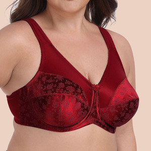 Full Cup Underwire <span class=keywords><strong>Bra</strong></span>-Bảng lưới tuyệt đối & vải tuyn mịn với chi tiết nơ | cộng với kích thước hỗ trợ dây đeo rộng (c-g Cup) - Product Image 2