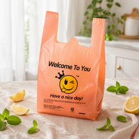 Sac en plastique à poignées type T-shirt pour courses et remerciements – Offre Spéciale