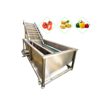 Laveuse automatique de légumes, fruits et maïs en acier inoxydable 100KG/H, machine à laver les tomates et les carottes, commerciale 380V/50HZ 10KW