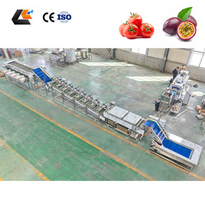 Ligne de production de brosses de lavage pour choux, nettoyeur d'avocats, trieuse d'oignons, laveuse de fruits de la passion et de carottes bébé - Prix usine - Product Image 6