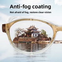 Édition Améliorée Monture TR90 Protection Oculaire Intérieure Polarisée Anti-Buée Anti-Pollen Anti-Vent et Sable Anti-Lumière Bleue Complète