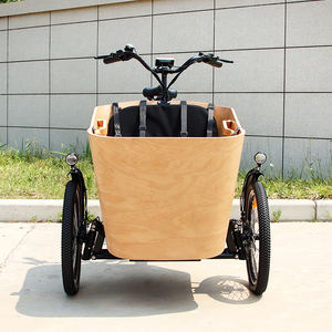 Tricycles électriques hollandais Ebike à 3 roues, vélo cargo familial Bakfiet, <span class=keywords><strong>tricycle</strong></span> familial pour adultes, grand <span class=keywords><strong>tricycle</strong></span> cargo pour les courses - Product Image 4
