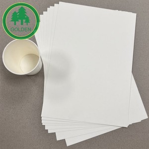 Food Grade Cupstock Paper Jumbo Roll Raw Material for Food Packaging - Product Image 4