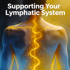 Óleo de Massagem Relaxante para Drenagem Linfática de Gengibre Orgânico Natural Hidratante Corporal Vegano Cápsulas de Óleo Essencial 100% Puro - Product Image 3