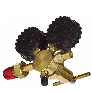 Régulateur de pression d'azote 4000 PSI 600 PSI monophasé pour utilisation avec de l'azote WQ-001 - Product Image 4