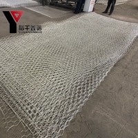 Grillage Gabion Hexagonal en Fil de Fer Galvanisé Anti-corrosion 60x80mm sur Mesure pour la Protection des Voies Navigables et les Murs de Soutènement