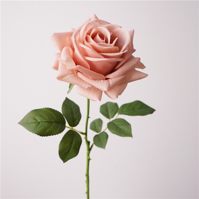 rose cerise