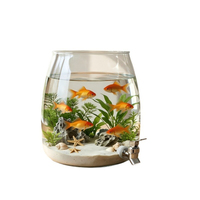 Nouvel aquarium de 26 L, petit aquarium domestique pour salon, en plastique imitation verre, aquarium de bureau pour petits poissons rouges avec robinet