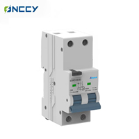 Dispositivo de Protección Contra Fugas de Corriente Residual RCBO, 240V 50A, Curva B, 16A, 1P + N, Modo E, Tipo A, 100mA