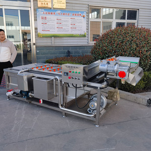 Fruit And Vegetable Processing Equipment Avocado Washing And <strong>Sorting</strong> <strong>Machine</strong> Vegetable Washing <strong>Machine</strong> - Product Image 4