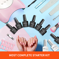 Kit de démarrage écologique en gros pour le nail art au gel français DIY avec lampe UV LED et ensemble d'outils de manucure en bouteille