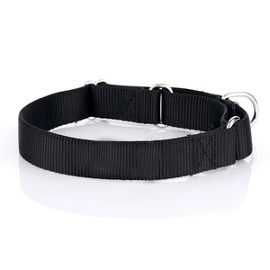 Collar de Nailon Resistente para Perro, Ajustable, Suave y Cómodo, para Cachorros y Perros Pequeños y Grandes, para Entrenamiento y Control - Product Image 5