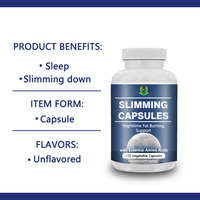Capsules de brûleur de graisse de nuit de qualité supérieure avec L-Arginine L-Lysine pour le sommeil Soutien amincissant Récupération musculaire Capsules végétales