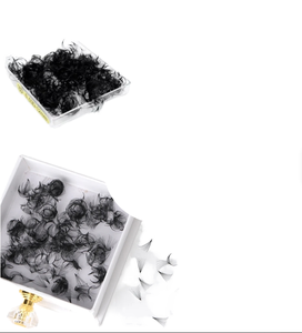 Pestañas de Fibra PBT Coreanas, Abanicos Preformados, 500-1000 Unidades por Caja, Abanicos Preformados Sueltos 3D 4D 5D 6D 7D 8D 9D 10D 12D 14D, Mate, Seda - Product Image 1