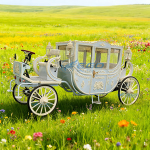 Chariot de tourisme à chevaux haute performance, calèche royale électrique de luxe, calèche de marathon, calèche électrique à chevaux - Product Image 1
