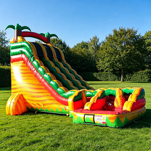 WINSUN Trendy Commercial Fashionable Inflatable Slide for Holiday Celebrations Public Gatherings And Entertainment Venues - Product Image 1