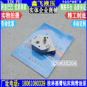 Bomba de Aceite Lubricante Radial Z3063X20A, Bomba de Engranajes de la Fábrica de Máquinas Herramienta Guilin 84, Control de Bomba para Taladradoras Radiales - Product Image 1