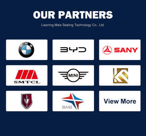 ชุดอัด GSZ5ที่ปัดน้ำฝน/กันฝุ่นสำหรับการปิดผนึกที่มั่นคง - Product Image 6