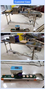 Máquina Impresora Automática de Inyección de Tinta para Huevos, Impresión de Logotipos, Marcado HD, Codificación, Impresoras de Inyección de Tinta para Huevos de Gallina - Product Image 6