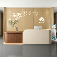 Bureau d'accueil moderne et minimaliste bicolore sur mesure avec éclairage LED intégré pour salon de beauté ou clinique