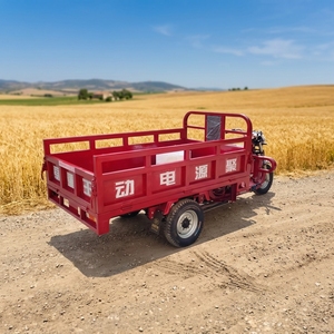 Tricycle <span class=keywords><strong>cargo</strong></span> électrique haute puissance 2000W 60V à 3 roues, carrosserie ouverte, capacité 750kg, autonomie 30-50km/h, longue portée, capacité de montée 25° - Product Image 5