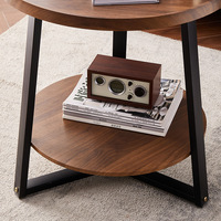Table basse en métal à double niveau, durable, pour petit appartement, salon, chambre, table d'appoint, rangement, design moderne et minimaliste