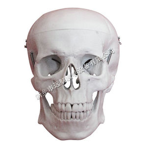 180cm - Product Image 4