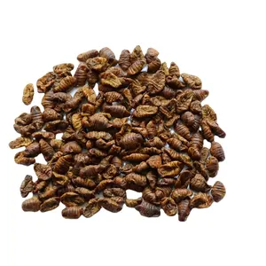 Wholesale sale of dried silkworm pet food at factory price