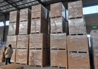 Baldosas de Plástico Encajables Portátiles para Protección Temporal del Césped, para Eventos al Aire Libre, Bodas y Carpas