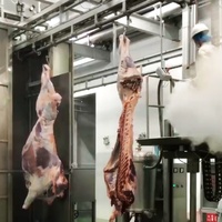 Équipement complet sur mesure pour l'abattage de bovins, ligne d'assemblage automatique pour la transformation des carcasses de bœuf en abattoir