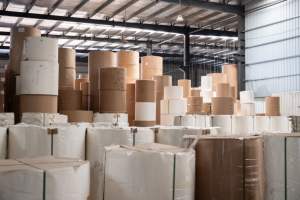 Food Grade Waterproof Wood Pulp <b>Paper</b> Cup Bottom Blank <b>Roll</b> for Offset Printing <b>Paper</b> Cup Manufacturing - Product Image 6