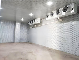 Compresseur professionnel chambre froide pour le stockage des fruits belle paroi de stockage à froid pour mangue citron glaçon entrepôt noyau Copeland - Product Image 3