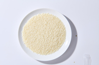Repas sain et minceur, alternative aux aliments, riz blanc shirataki instantané, faible en glucides, faible en calories, riz nutritionnel blanc au konjac