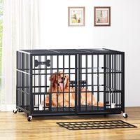 Cage pour chien en métal robuste Aboxoo de 42 pouces pour 2 chiens, niche d'intérieur avec séparateur