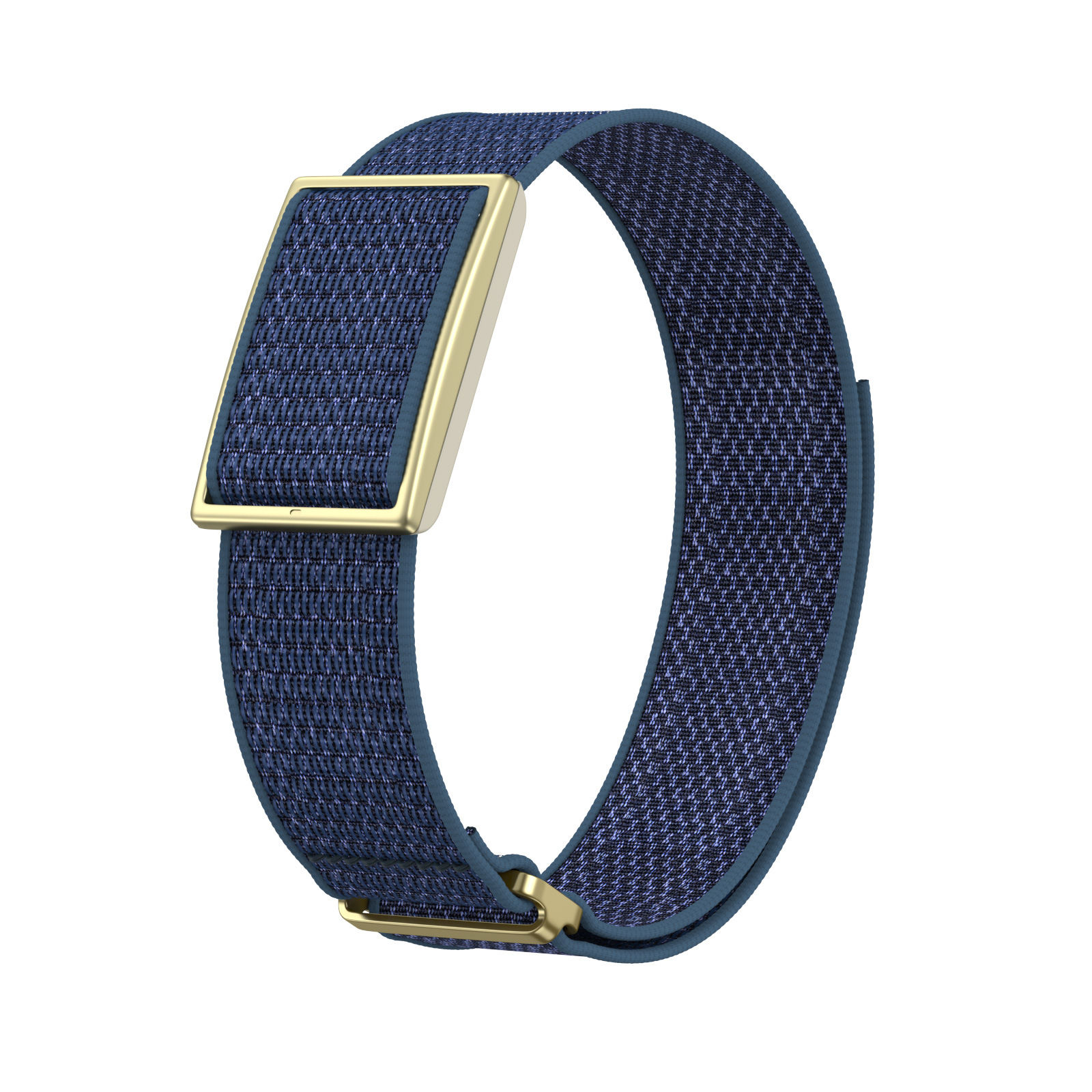 Bleu - Boucle dorée