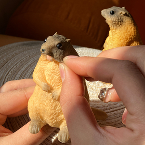 Jouet de simulation de marmotte pour enfants, modèle animalier, jouet cognitif, nouveauté, anti-stress, animal mignon à presser, cadeau pour fille - Product Image 2