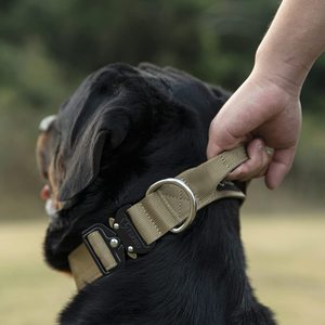 Quick Release Nylon Rope Dog Leash Pet Collars & Leashes Print Customized Color Durable Tactical Dog Collar With Handle Nylon - Product Image 6