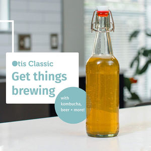 Bottiglia di vino di vetro vuota della birra della cima di vibrazione del <span class=keywords><strong>latte</strong></span> di Kombucha dell'oscillazione <span class=keywords><strong>250</strong></span> <span class=keywords><strong>ml</strong></span> 500ml 750 <span class=keywords><strong>ml</strong></span> - Product Image 2