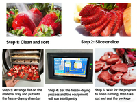 Petit sécheur par congélation domestique pour la fabrication de chips de fruits et légumes, machine de séchage, fabricant