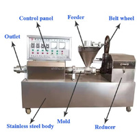 Machine extrudeuse automatique pour la production de morceaux de soja, de protéines de soja texturées, de peau de tofu et de viande de soja, capacité 50 kg/heure