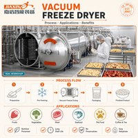 Grote automatische vacuümvriesdroger SUS304 Lyofilisator op maat gemaakte capaciteit voor fruit-, groente- en voedselverwerking