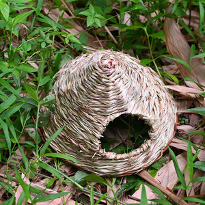 Nid d'oiseau tissé à la main, forme triangulaire, abri respirant pour petits oiseaux de taille moyenne - Product Image 3