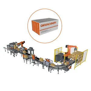 Fully Automated Carton Packaging Line With Carton Erector Sealer Machine