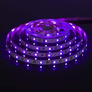 Tira de Luces LED Púrpuras de 24V, SMD2835 <span class=keywords><strong>60D</strong></span>, Barras de Luz de Color de Ensueño, Certificación IP68/IP65/IP55/IP20, Tira de Luces LED para Paisajismo Residencial - Product Image 2